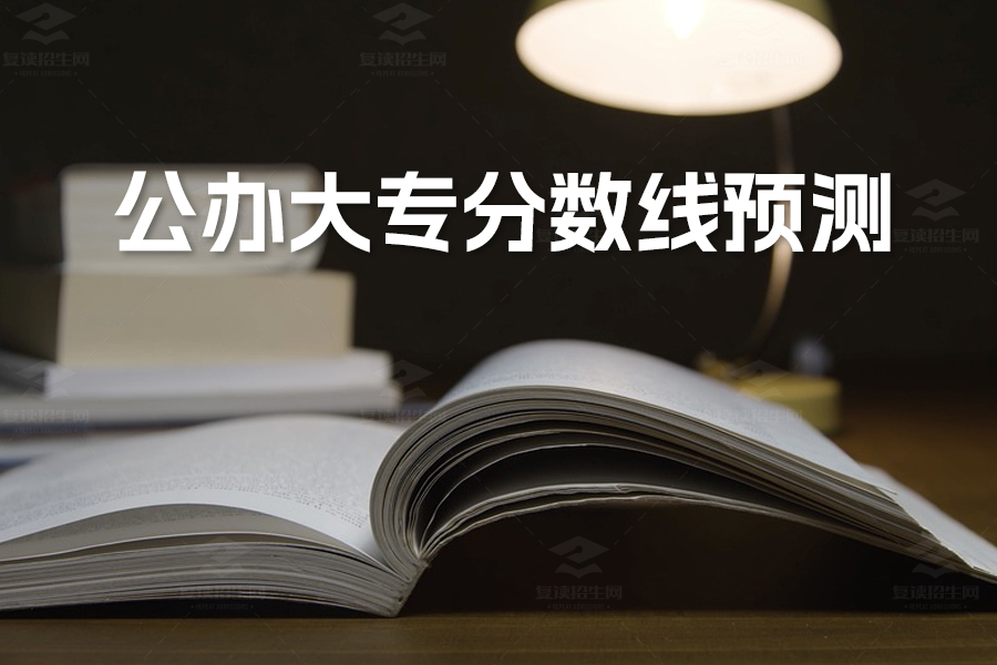 2024年公办大专分数线预测：了解最低分数线及择校建议