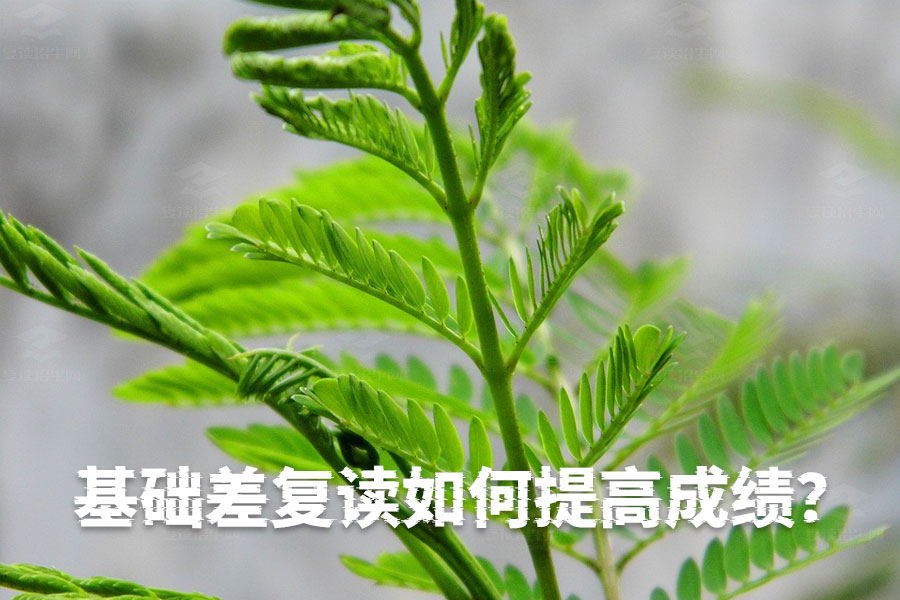 基础差复读如何提高成绩？这几招帮你快速提升！